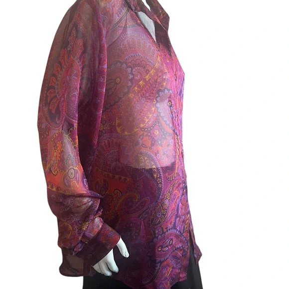 Vintage Barbara Lesser  Sheer Tunic Blouse Size XL - Picture 5 of 9